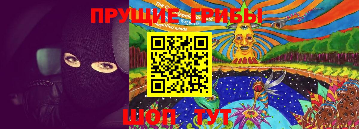 Чистополь  Галлюциногенные грибы Psilocybe  Галлюциногенные грибы Psilocybine cubensis  Вход с VPN 